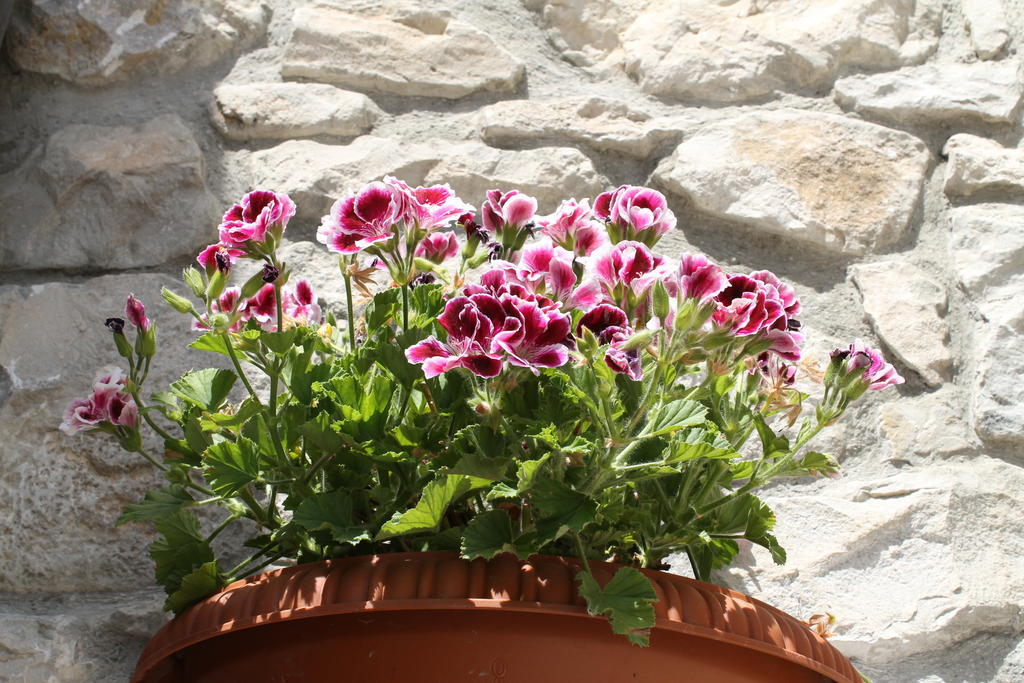 Casa Vacanze Caccamo Santa Lucia Eksteriør billede